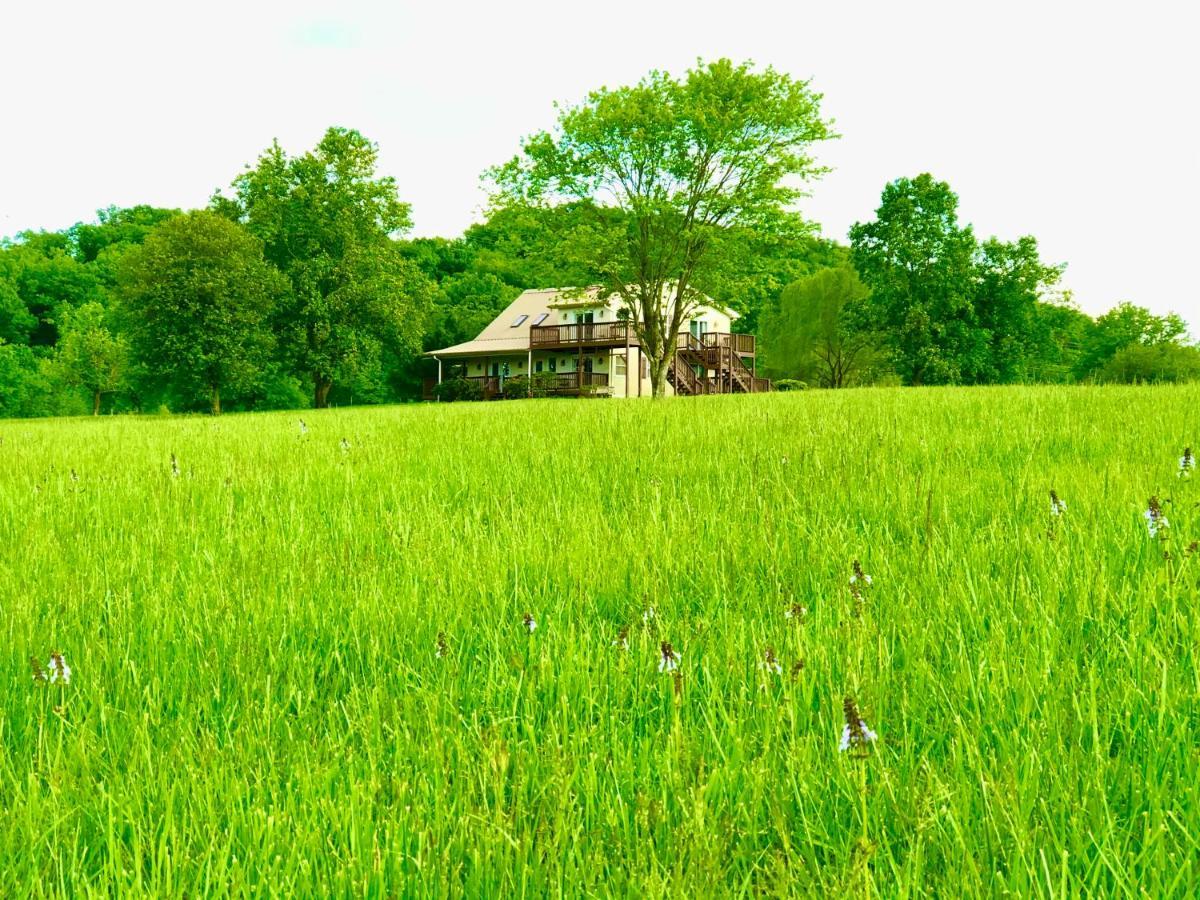 Little River Guest House At Tennessee Riverplace Chattanooga Exterior foto