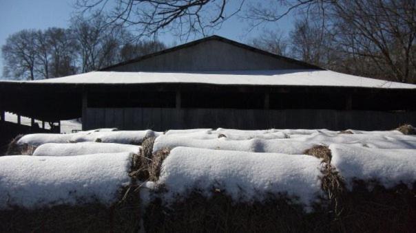 Little River Guest House At Tennessee Riverplace Chattanooga Exterior foto